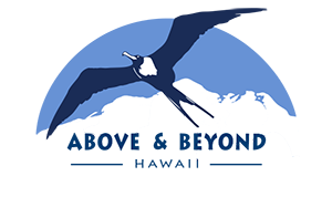 Above & Beyond